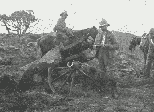 Remains of Boer Big Gun, Waterval