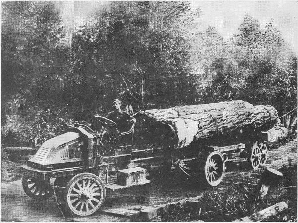 Pioneer logging 1913