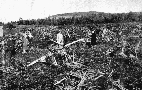 By permission of Dupont Powder Co., Wilmington, Delaware

First Effect of the Dynamite

Clearing a field of tree stumps by blowing them up with dynamite.—See p. 16