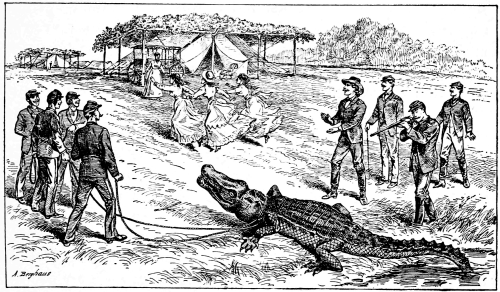 men, women and an alligator