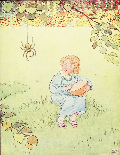 Miss Muffet and the Spider