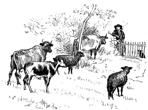 Breton Farmer and Cattle.