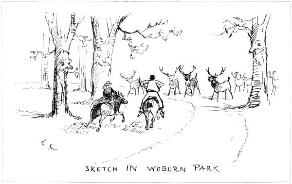 Sketch In Woburn Park