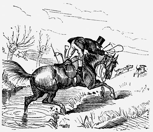 A man riding a
horse.