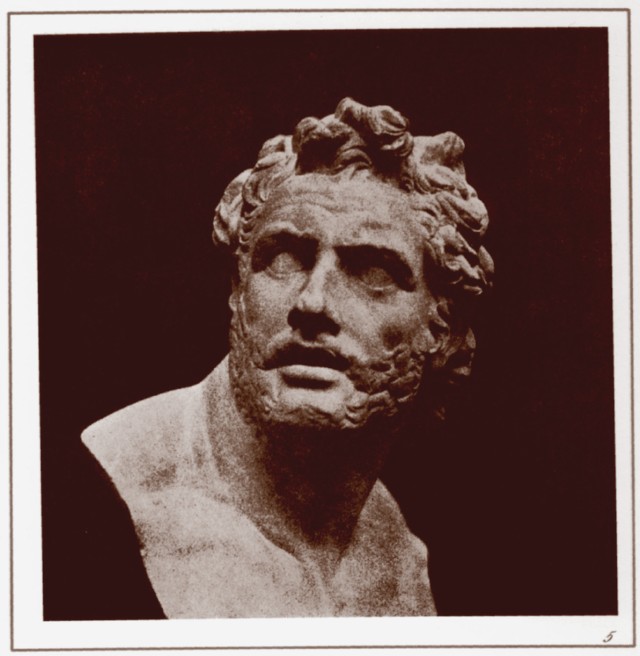 PLATE V. BUST OF PATROCLUS.
