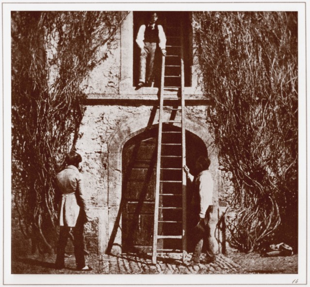 PLATE XIV. THE LADDER.