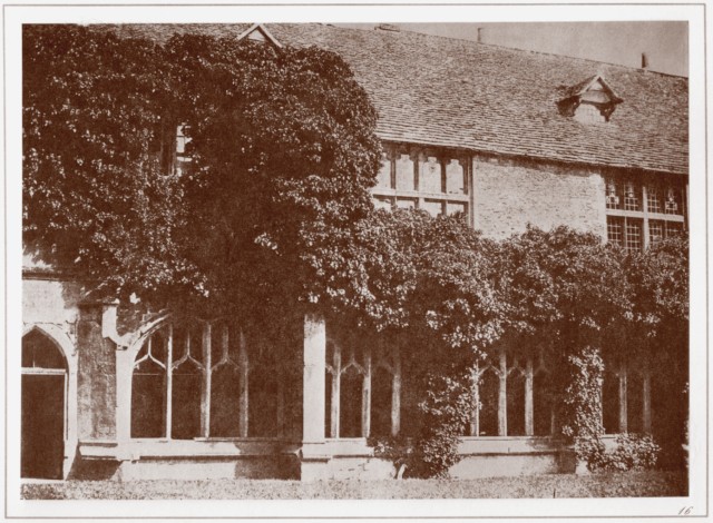 PLATE XVI. CLOISTERS OF LACOCK ABBEY.