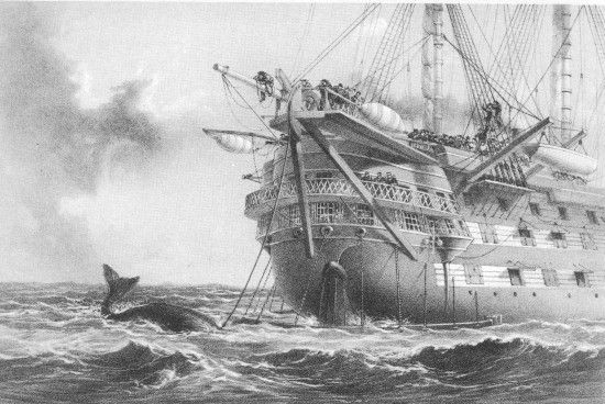 R. M. Bryson, lith from a drawing by R. Dudley

London, Day & Sons, Limited, Lith.

H.M.S. AGAMEMNON LAYING THE ATLANTIC TELEGRAPH CABLE IN 1858. A WHALE
CROSSES THE LINE.