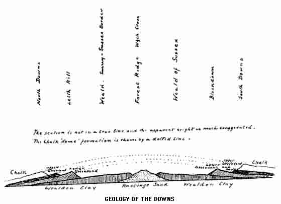 GEOLOGY OF THE DOWNS.