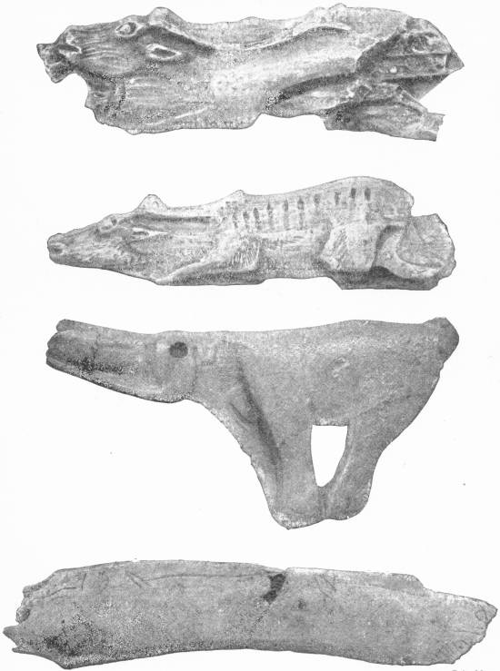 BONE CARVINGS OF THE PALOLITHIC PERIOD