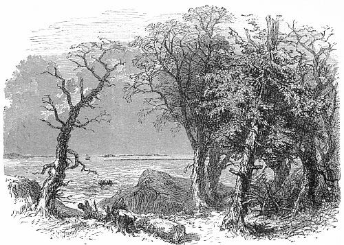 PLYMOUTH BAY, AS SEEN BY THE INDIANS.