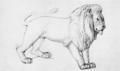 VII.—Preliminary
Drawing of a Lion for Carving. By Phillip Webb.