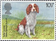 Postage Stamp
