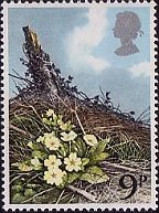 Postage Stamp