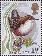 Postage Stamp